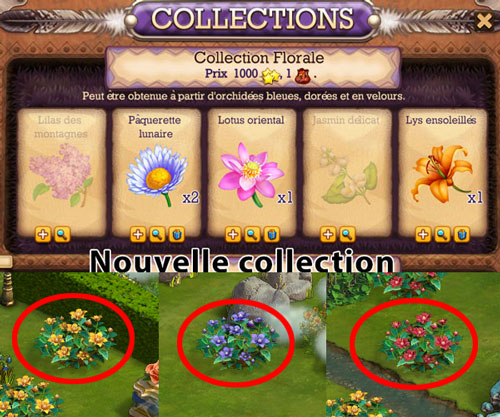 collection florale