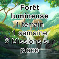 Forêt lumineuse