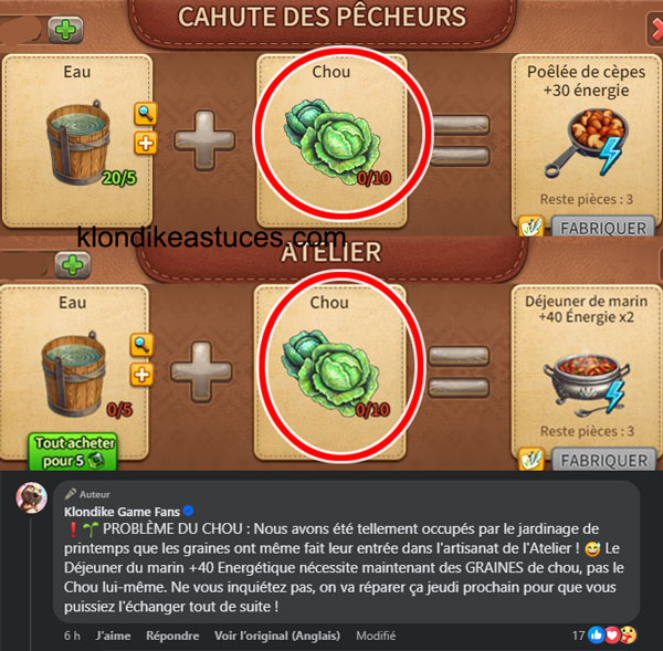 fond en touche chou