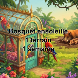 Bosquet ensoleillé