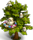 hibou arbre