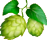 houblon