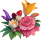 premières fleurs