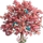 Arbre printanier