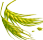 blé sauvage