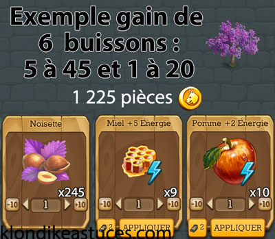 Exemple gain de 6 buissons