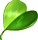 feuille de trèfle