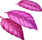 feuilles roses