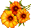 fleur médicinale