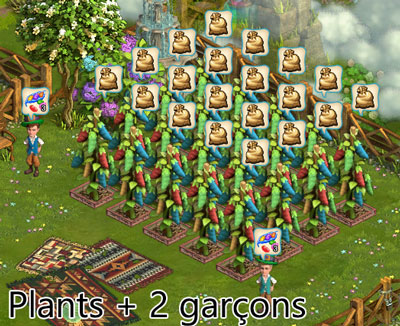 forêt de fergus - plant