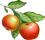 pomme sauvage