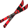 ski