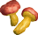 champignon puant