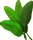 feuilles fumeuses