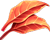 feuilles rouges