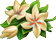 fleurs parfumées