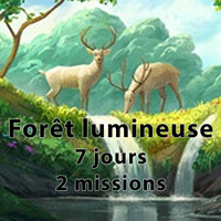 Forêt lumineuse