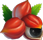 guarana
