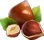 noisette