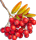 sorbier