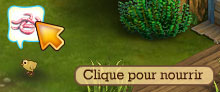 poussin nourrir