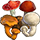 collection champignon