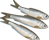 sprat